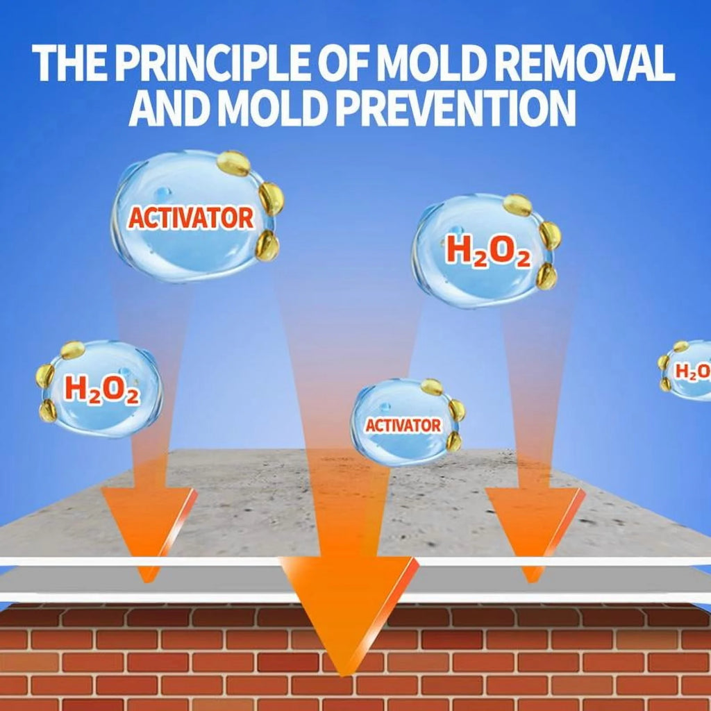 Highly Effective Mold Removal Spray - Prevents Mold Regrowth ( BUY 1 GET 1 FREE )