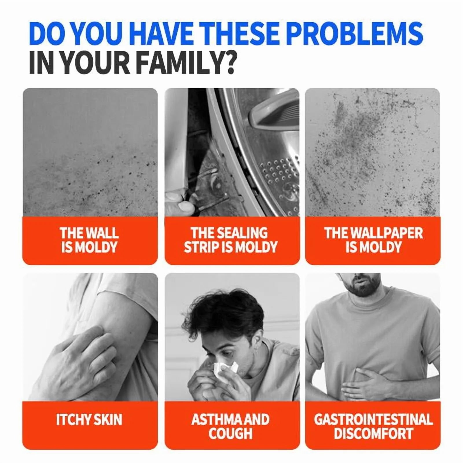 Highly Effective Mold Removal Spray - Prevents Mold Regrowth